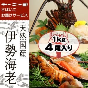 捌いて発送　国産天然　伊勢エビ　4尾　1kg[伊勢海老]