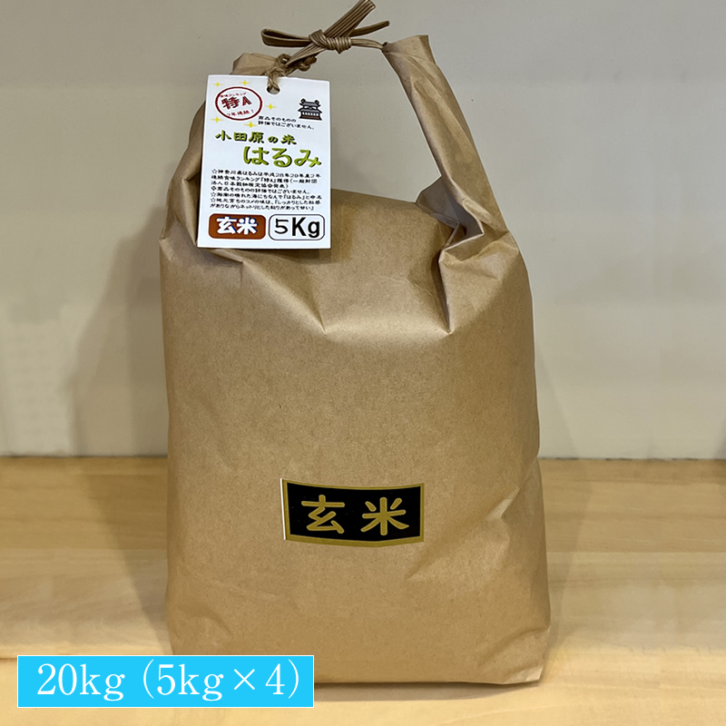 93-2068 志村屋米穀店 令和5年産新米小田原市産　はるみ(玄米) 　20kg（5kgｘ4）＜出荷時期：10月中旬より順次出荷開始＞