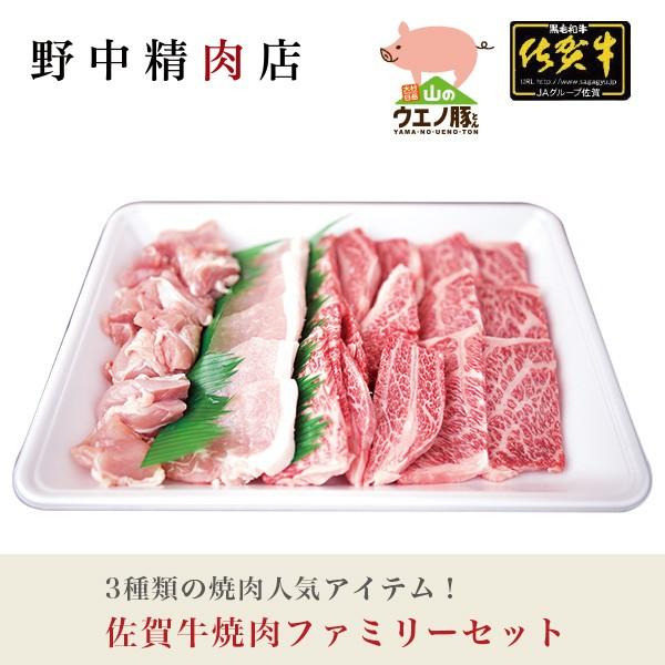 焼肉セット バーベキューに最適 佐賀牛焼肉ファミリーセット カルビ ロース 山のウエノ豚 長崎鶏（3〜4人分）600g