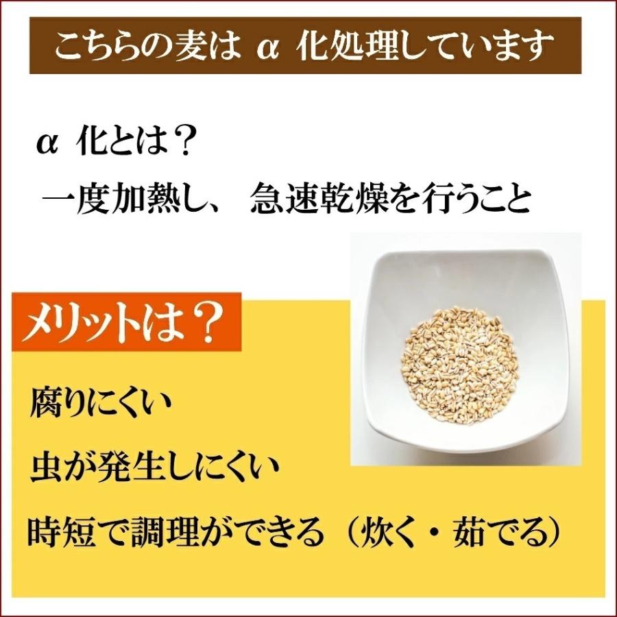 国内産 もっちもち大麦 950g×5袋 チャック付き α化処理 ポイント消化 雑穀米 食品 美容 ダイエット 国産 送料無料 ※北海道・沖縄の方は別途送料加算