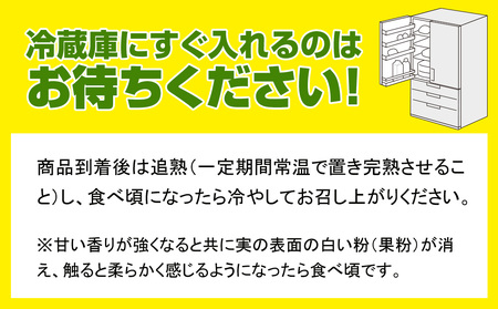 南国の果物　沖縄県産マンゴー　キーツ　1kg