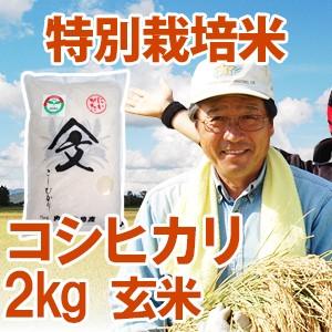 令和5年産新米 新潟県産 「特別栽培米コシヒカリ」 玄米2kg