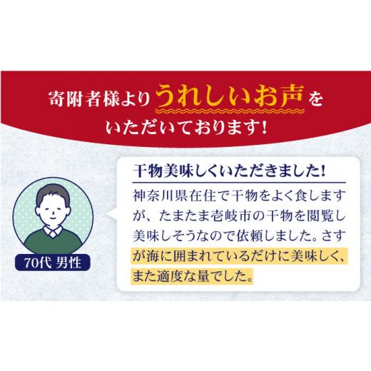 ふるさと納税 長崎県 壱岐市 旬の海産物セットA     干物 ひもの みりん干し アジ イワシ サンマ 詰め合わせ 定期便 [JCY010] 54000 54000円