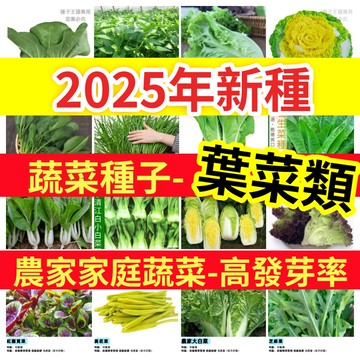 【12h出貨】2025年新種農家蔬菜種子-葉菜類（清江白菜#萵苣生菜#大陸妹#娃娃菜#茼蒿#西藍花椰菜#冰菜#空心菜）