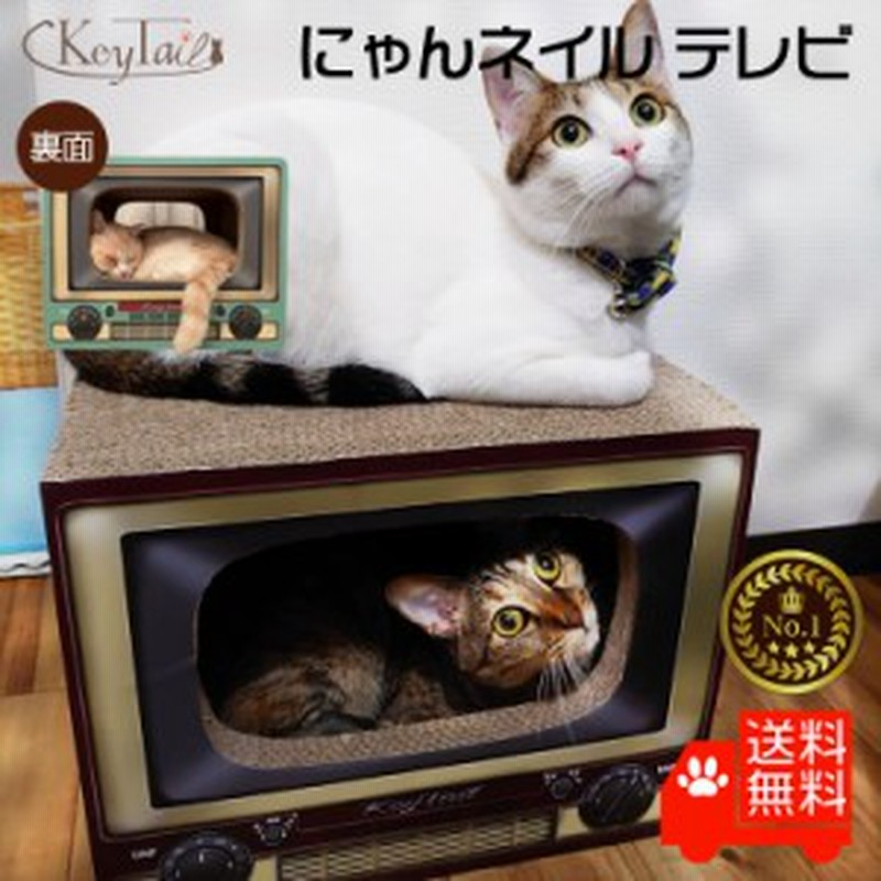 猫の爪とぎ にゃんネイルテレビ 猫 ハウス 猫の 爪とぎ ダンボール キーテイル おしゃれ インテリア ネコハウス ベッド ソファー 猫用品 通販 Lineポイント最大1 0 Get Lineショッピング