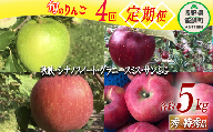 旬のりんご  秀 〜 特秀 5kg × 4回 丸西農園 沖縄県への配送不可 2023年10月上旬頃から2023年12月下旬頃まで順次発送予定 令和5年度収穫分 特別栽培農産物 除草剤 化学肥料 不使用 信州 果物 フルーツ リンゴ 林檎 長野 64000円 予約 農家直送 長野県 飯綱町 [0509]