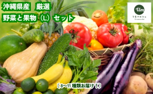 うるま市を中心とした県産野菜・果物セット（L）