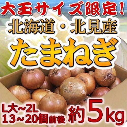 北海道 北見F1 ”たまねぎ” 秀品 約5kg 大玉L〜LLサイズ 玉葱 送料無料