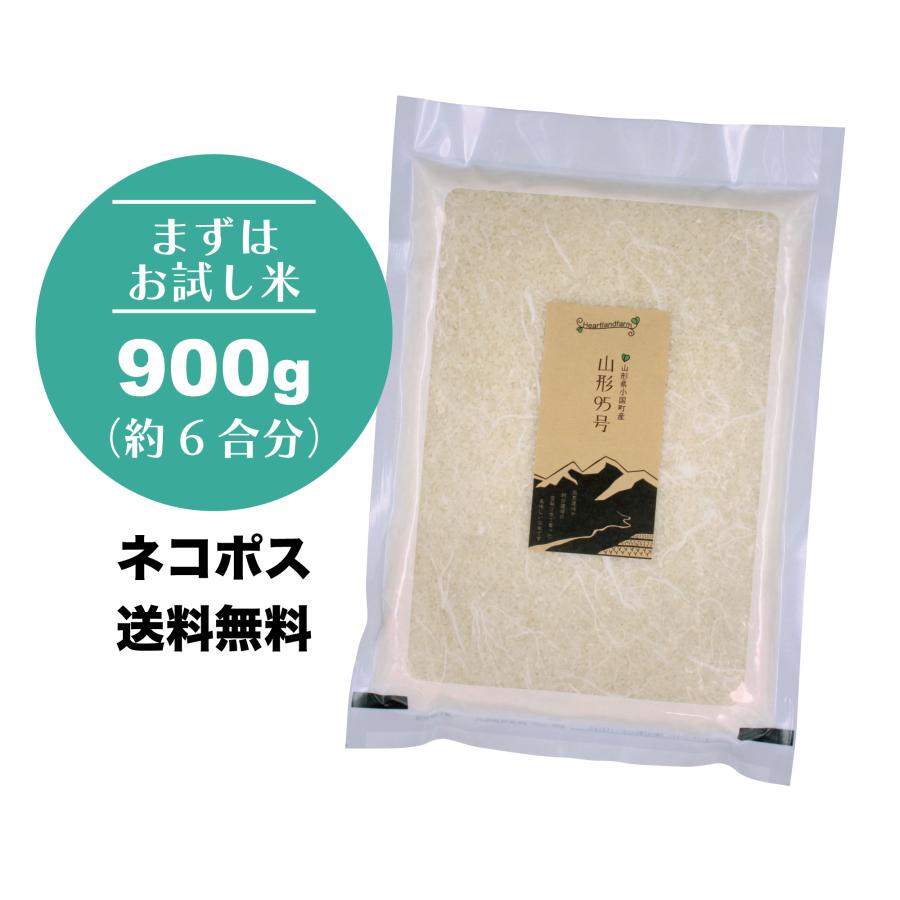 新米 2kg お米 山形95号 山形県 令和5年産 送料無料（一部地域を除く） 精白米