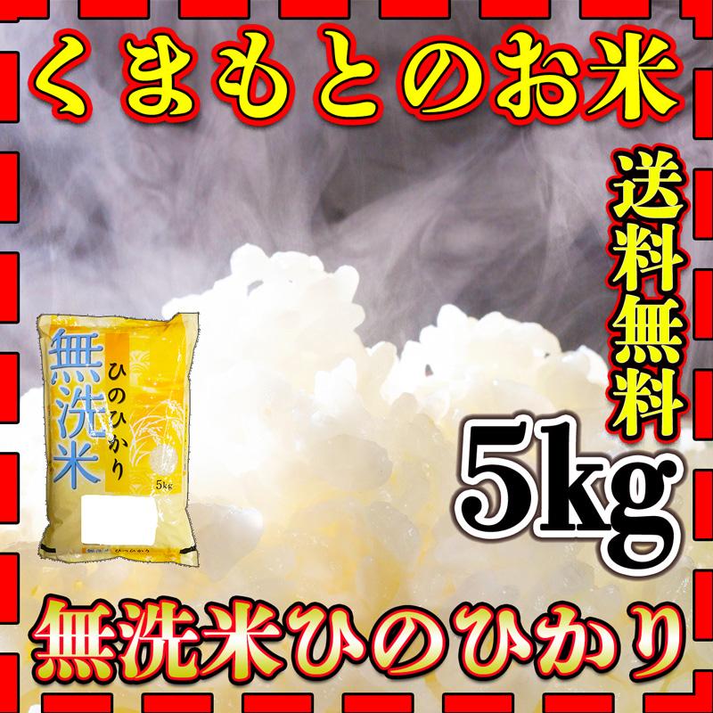 お米 米 5kg 白米 送料無料 無洗米 熊本県産 ひのひかり あすつく 新米 令和5年産 ヒノヒカリ 5kg1個 くまもとのお米 富田商店 とみた商店