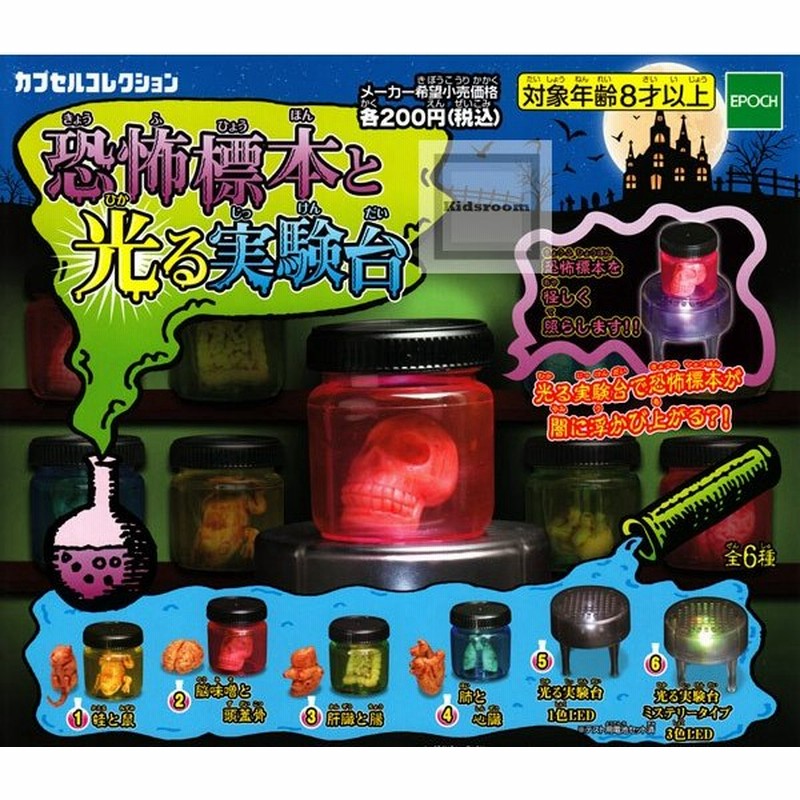 恐怖標本と光る実験台 全6種セット ガチャ ガシャ コンプリート 通販 Lineポイント最大0 5 Get Lineショッピング
