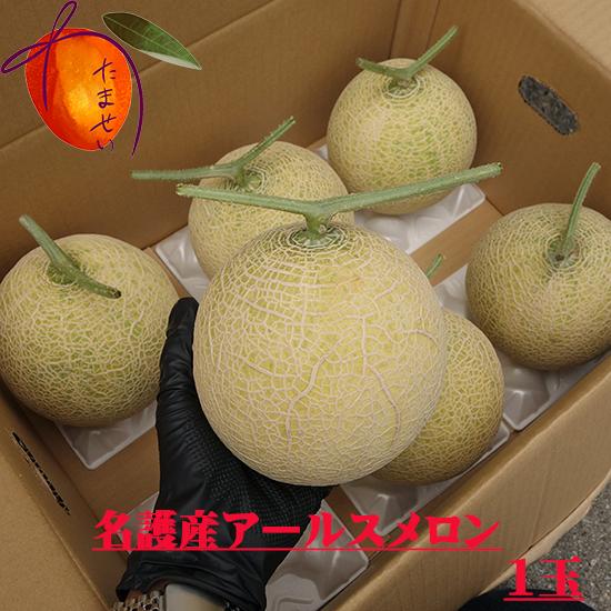 名護産 アールスメロン １玉　(約1kg~1.5kg)