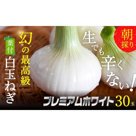 ふるさと納税 浜松篠原産プレミアムホワイト30玉 静岡県浜松市