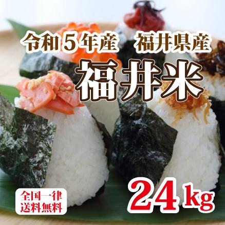 福井米 令和５年産 福井県産米10割 24kg 白米 安い 8kg×3 ブレンド米 生活応援米 送料無料