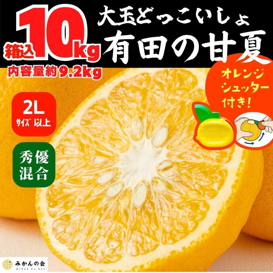 甘夏 大玉 どっこいしょ 箱込 10kg 内容量約 9.2kg 秀品 優品 混合 2Lサイズ以上 和歌山県 産地直送  