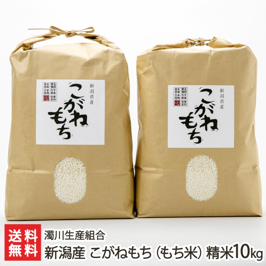 新潟産 こがねもち（もち米）精米10kg（5kg×2袋） 濁川生産組合 のし無料 送料無料