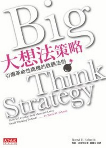 大想法策略[二手書_良好]