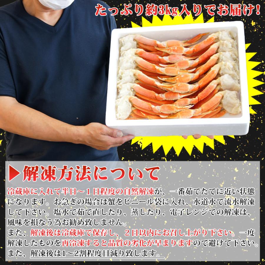 かに カニ ズワイガニ ボイル 蟹脚 総重量3kg 2Lサイズ 10〜14肩入り 送料無料 ずわいがに 鍋 贈答 プレゼント 最安値に挑戦