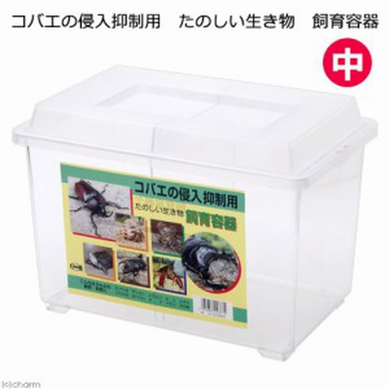 飼育ケース 虫かご カブトムシ クワガタ あどけな