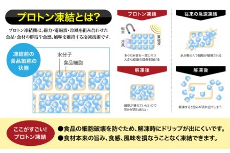 ★中国禁輸の影響を受けています★道水 北海道産プロトン帆立２kg（１kg×２袋）  冷凍ホタテ貝柱 お刺身や生食可[24894336]