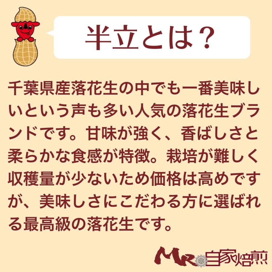 新豆 令和5年度産 落花生 150g 国産 殻つき 千葉県八街産 八街 半立 (特選) Mr.の煎る千葉殻つき 国産 煎り ピーナッツ