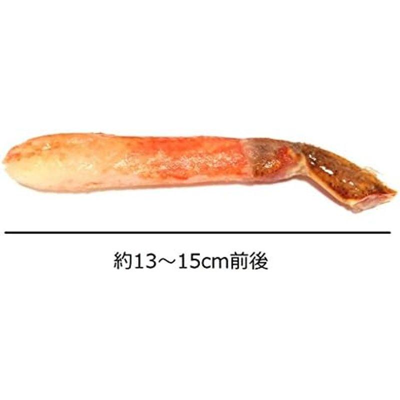 ずわいがに 脚 むき身 特大 生 ズワイガニ 足 棒肉 ポーション かに 蟹 500g入 (大サイズ16-25本)