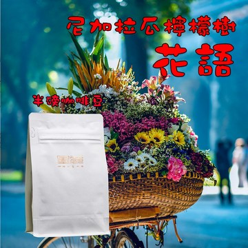 【尼加拉瓜檸檬樹莊園花語水洗豆(淺焙)】2026新產季