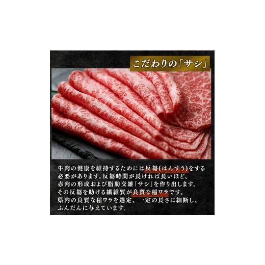 ふるさと納税 滋賀県 竜王町 近江牛 ホルモン 500g (250g×2)  黒毛和牛 牛肉 肉 ギフト 焼肉 焼き肉 自宅用 高級 黒毛和牛 国産 ふるさと納税 ブランド牛 …