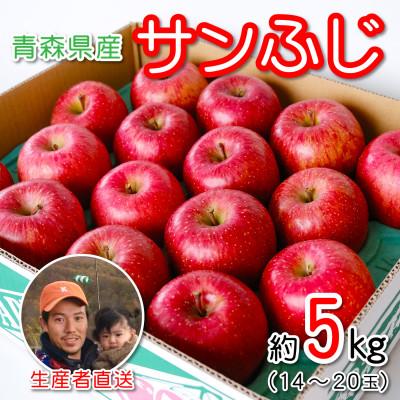 ふるさと納税 青森市 青森県産 産地直送!家庭用 サンふじ 約5kg