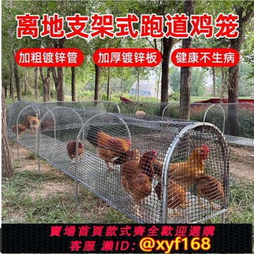 {可打統編 保固一年}可折疊式雞籠子跑道圍欄離地養雞網塑料加厚家專用室戶外養雞棚舍