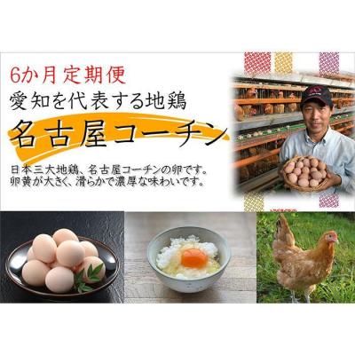 ふるさと納税 大府市 日本三大地鶏!! 「純系　名古屋コーチンの卵」(30個)