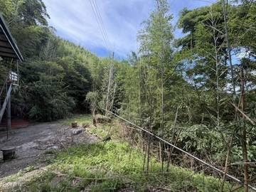 霞雲金平山｜退休首選｜休閒林地｜桃園市復興區霞云段
