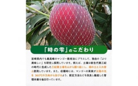 令和６年産 宮崎県産完熟マンゴー「時の雫」４L×１玉