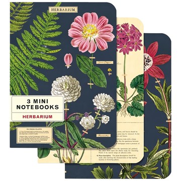CAVALLINI&CO. 口袋筆記本 Set 3本  植物圖鑑 青色 + 米黃色