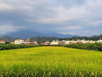可作農保／山景觀漂亮小農地1｜高雄市美濃區龍肚段