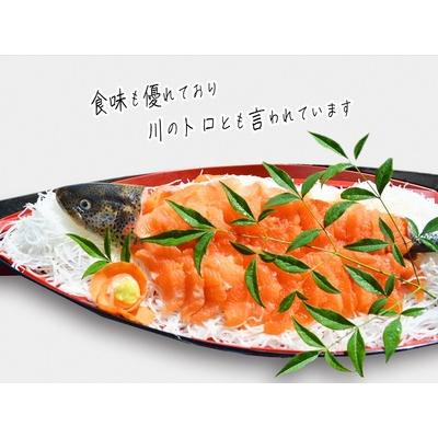 ふるさと納税 鮮魚でお届け！幻の魚「イトウ」1尾(約1kg)※配送地域限定 青森県鰺ヶ沢町