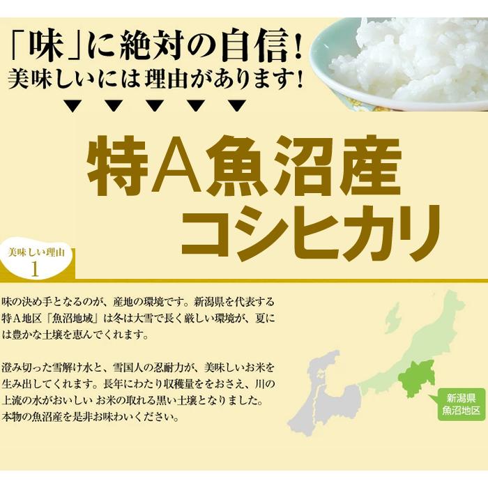 魚沼産 コシヒカリ 5kg  令和4年 米 こしひかり 新潟 送料無料