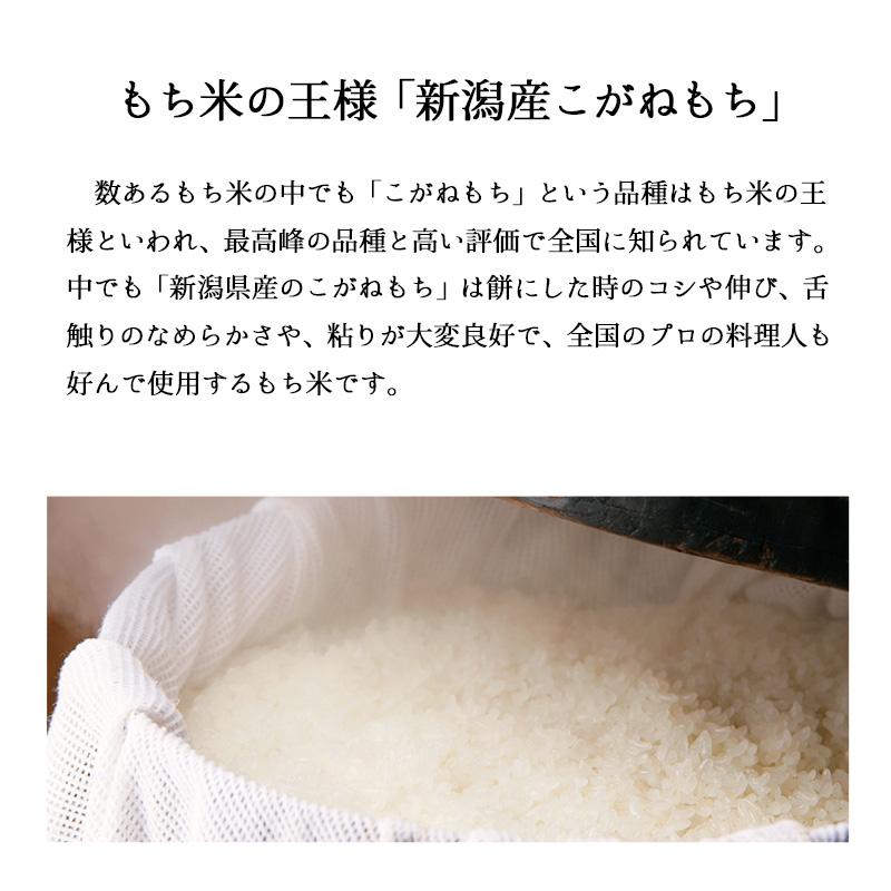 もち米 2kg こがねもち お米 令和5年産 新米 新潟県産