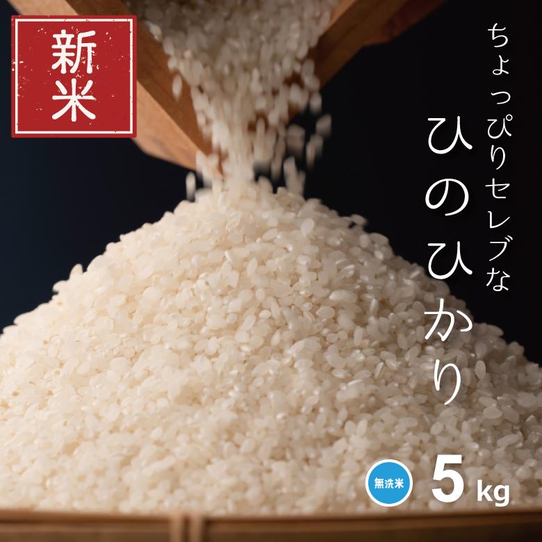 新米 米 お米 5kg ちょっぴりセレブなヒノヒカリ 無洗米 国内産 令和5年産 精米5kg ひのひかり