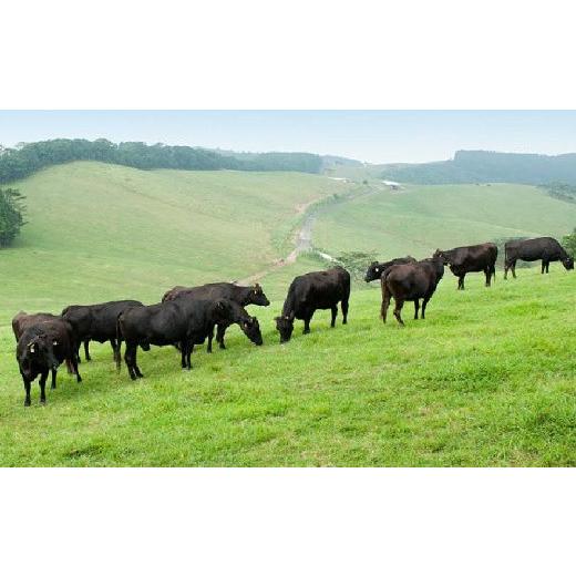 ふるさと納税 鹿児島県 南九州市 076-32 低脂肪で香り豊かな黒毛和牛焼肉用600g