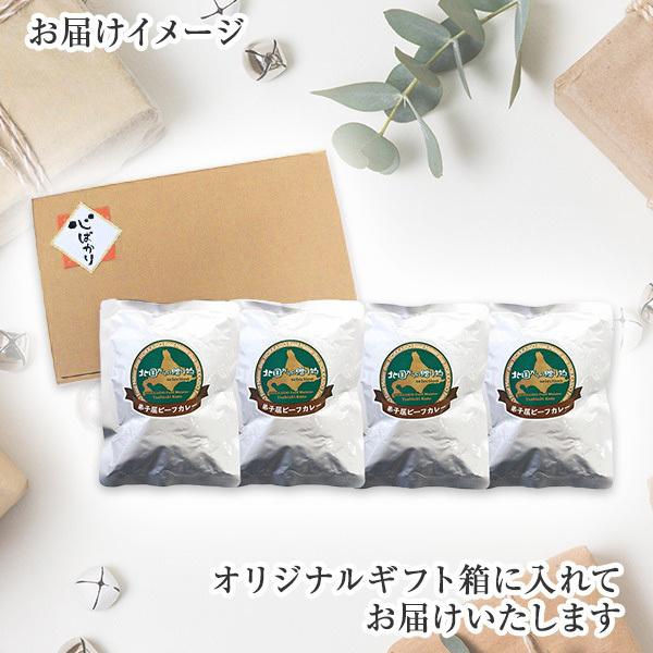 御歳暮 弟子屈 ビーフカレー 4食 レトルト カレー ギフト セット 北海道 お取り寄せ グルメ 食べ物