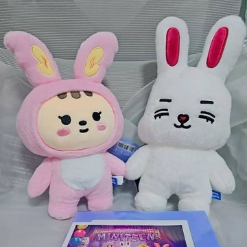🧸官方同款 SEVENTEEN  次 MINITEEN站姿娃崔勝澈 尹淨漢 全圓佑 金珉奎20cm娃娃