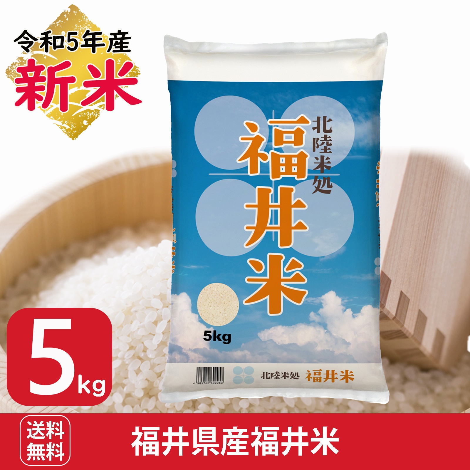 新米 令和5年産 福井県産福井米5kg 白米 北陸米処