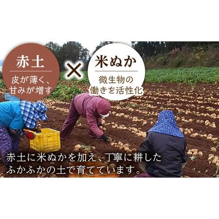 ふるさと納税  栽培期間中農薬不使用！野田さん家のじゃがいも（ニシユタカ)10kg じゃがいも ジャガイモ 東彼杵町 野田物産 [.. 長崎県東彼杵町