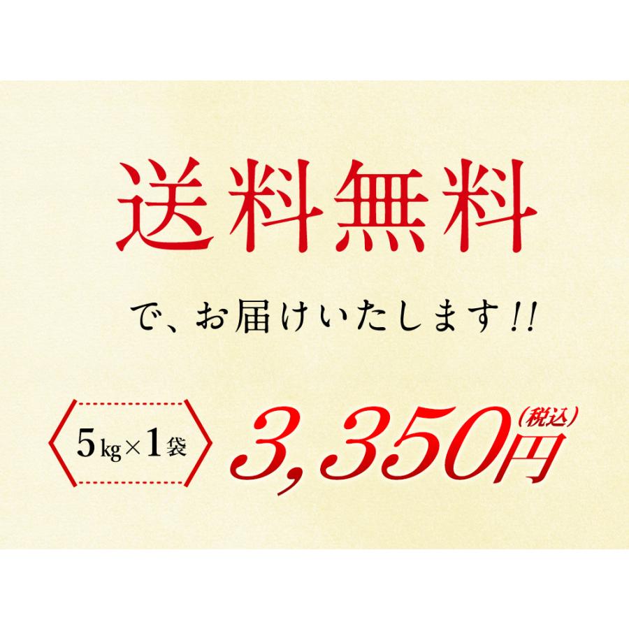 新米 魚沼産（新潟県）コシヒカリ 5kg（5kg×1袋）  送料無料 令和5年度産 魚沼産 新潟県産 精米 お米 5kg（北海道・沖縄別途送料）（配達日・時間指定は不可）