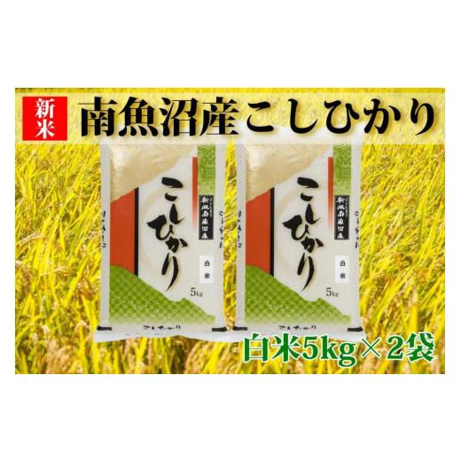 ふるさと納税 新潟県 南魚沼市 南魚沼産コシヒカリ「Sun](白米5×2袋)を全6回