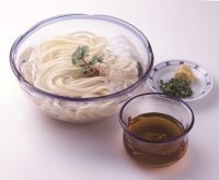 ひやひや純生うどんセット(8人前)