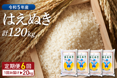 ※2024年2月前半スタート※はえぬき 120kg定期便（20kg×6回）山形県産