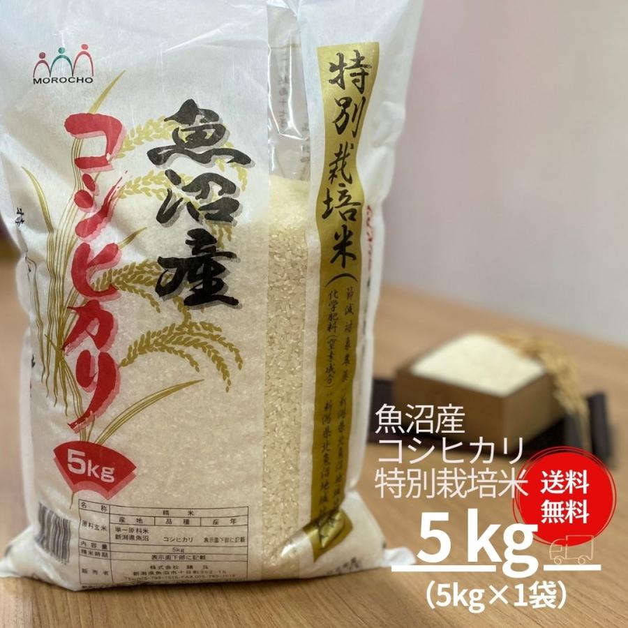 新米 米 お米 5kg セール  コシヒカリ こしひかり 魚沼産 特別栽培米 本州送料無料 令和5年