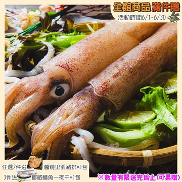 (免運組)野生船凍透抽2隻/包(450G/包)共2包(4隻)